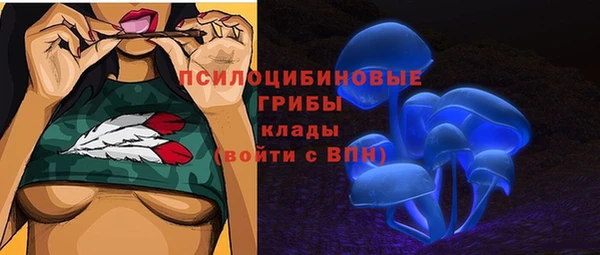 мяу мяу мука Алексин