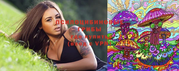 spice Алзамай