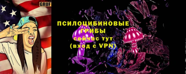 спиды Аркадак