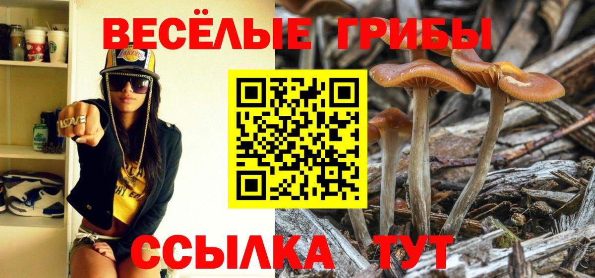 Петропавловск-Камчатский  Псилоцибиновые грибы MAGIC MUSHROOMS  Вход с VPN 