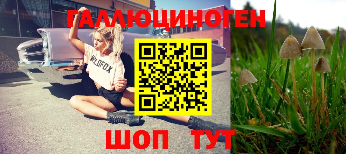 Галлюциногенные грибы ЛСД Петропавловск-Камчатский