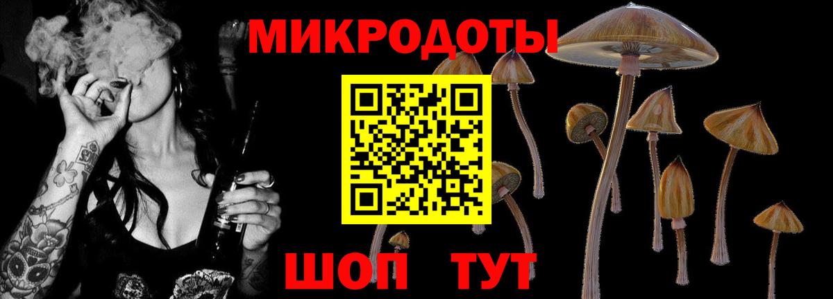 КОКАИН Петропавловск-Камчатский